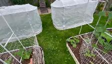 Metal Garden Beds with tops - Photo 5