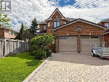 Basement Apartment