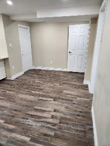 Basement Apartment - Photo 4