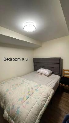 3 Bedroom Basement Apartment for Rent in Scarborough - Photo 7