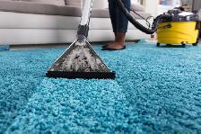 Carpet Hand Cleaning/Washing (Nettoyage des tapis) - Photo 2