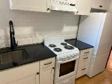 Renovated one bedroom plus den - Bloor West Village ( - Photo 2
