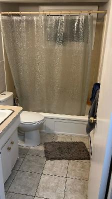 Large 1 bdrm APT $1500/m  - Utilities Included- Avail NOV 1 - Photo 4