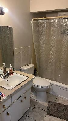 Large 1 bdrm APT $1500/m  - Utilities Included- Avail NOV 1 - Photo 5