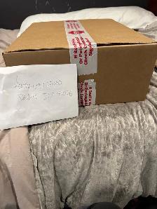 Pokémon 30th Celebration Sealed ETB Case 10 CT - Photo 3