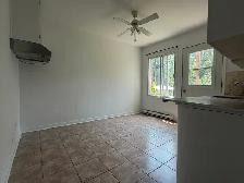Beautiful 4 1/2 available in LaSalle - Photo 9