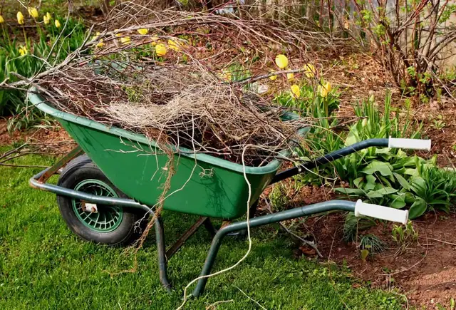 Yard Clean Up-Fredericton & Area