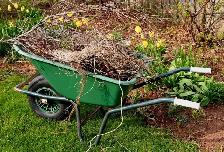 Yard Clean Up-Fredericton & Area