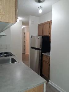 $1,250 1-Bedroom: ALL Utilities Included - Near LRT - Photo 8