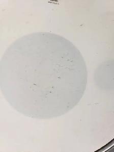 (9921110) Ludwig L484 Snare Drum - Photo 9