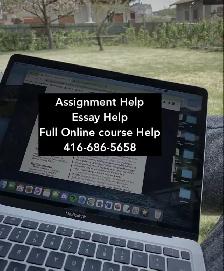 Essay Help | Reports | Research, Nursing, Assignment Support