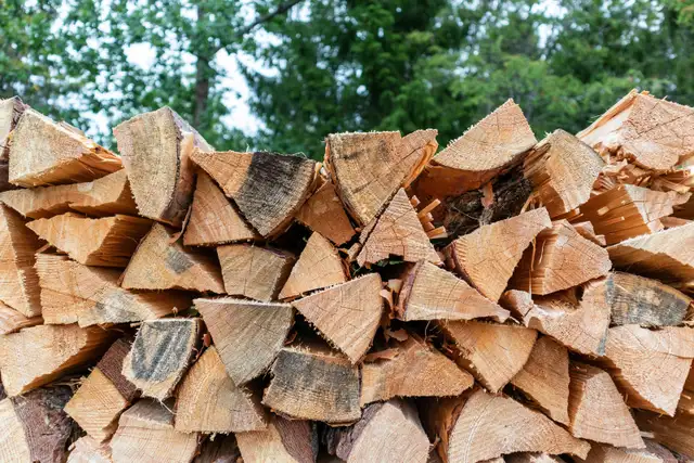 Dry Fir Firewood