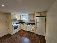 (LOWER LEVEL-SPACIOUS STUNNING 2bdrs@Keele St/HYW 401) - Photo 11