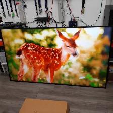 SAMSUNG Business QM75R 75 Inch 4K UHD ($570)