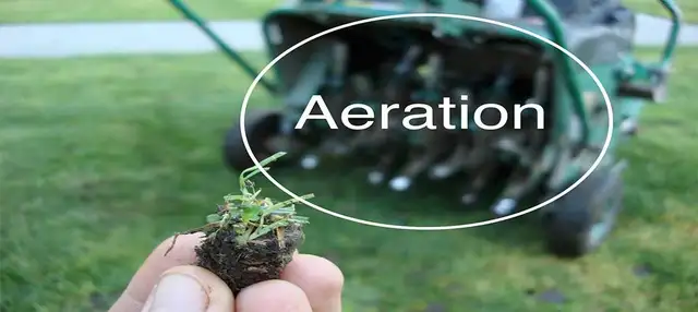 Core lawn aeration over-seed clean-up
