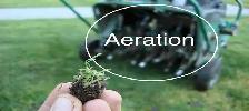 Core lawn aeration over-seed clean-up