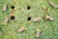 Core lawn aeration over-seed clean-up - Photo 3