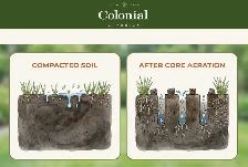 Core lawn aeration over-seed clean-up - Photo 4
