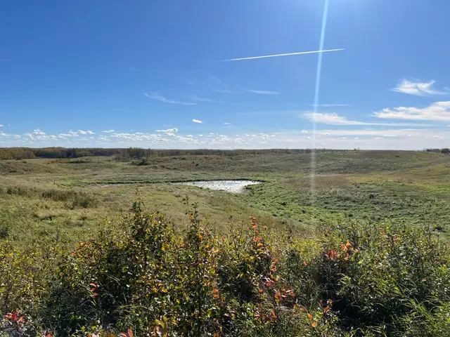 50 Acre Future