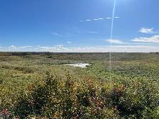 50 Acre Future