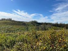 50 Acre Future - Photo 2