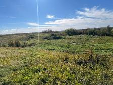 50 Acre Future - Photo 3