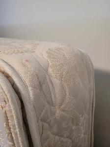 Queen pillowtop mattress, gently used - Photo 6