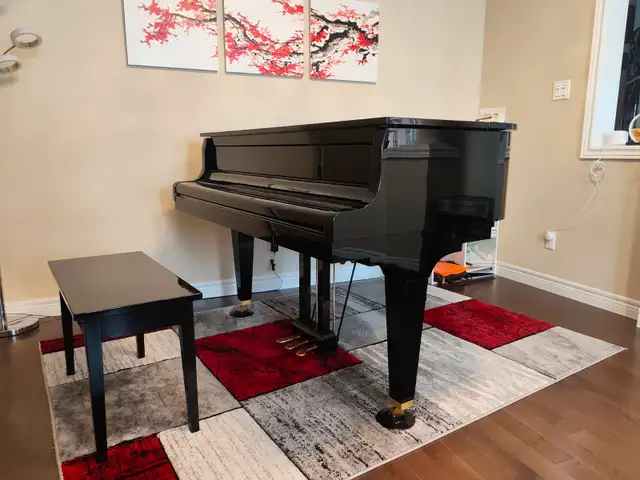 Private Piano Teacher 私人钢琴老师