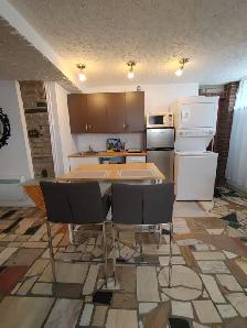 FURNISHED STUDIO IN THE BASEMENT NEAR METRO JOLICOEUR - Photo 3