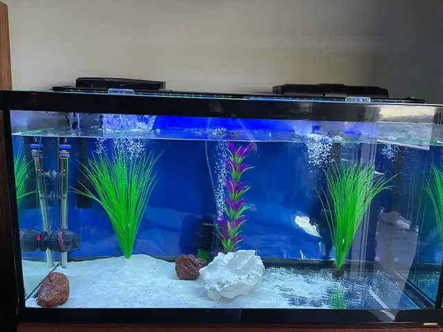 Aquarium Tank for sale