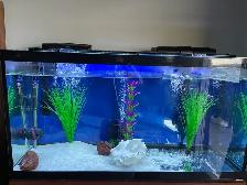 Aquarium Tank for sale