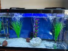Aquarium Tank for sale - Photo 2