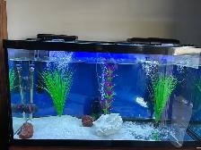 Aquarium Tank for sale - Photo 3