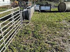 Sheep equipment for sale - Photo 2