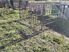 Sheep equipment for sale - Photo 3