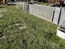 Sheep equipment for sale - Photo 5