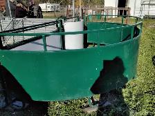 Sheep equipment for sale - Photo 7