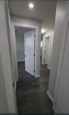 Basement For Rent