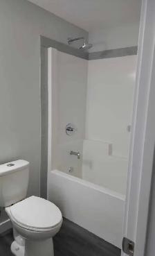 Basement For Rent - Photo 6