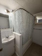 À louer – Grand logement lumineux à Villeray (Rue Fabre) - Photo 2