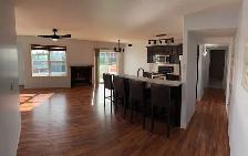 Top Floor Modern Condo