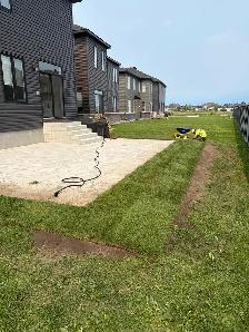 new grass - Photo 5