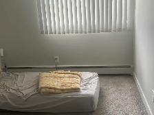 i bedroom shared accommodations - Photo 4