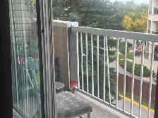 i bedroom shared accommodations - Photo 5