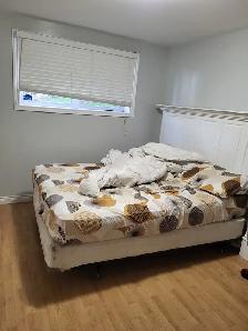 1 Bedroom   Den Apartment for Rent East Saint John - Photo 4