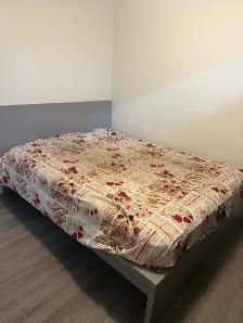 3 bedroom basement for rent - Photo 7