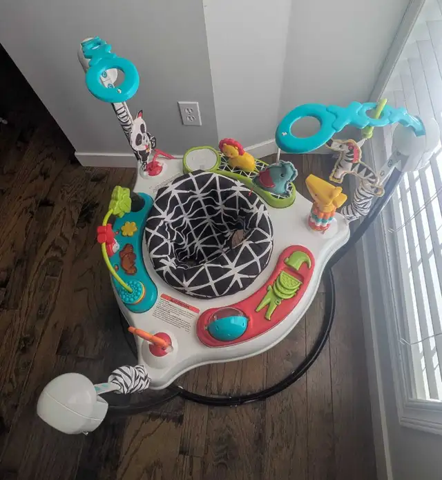 Fisher-Price Jumperoo