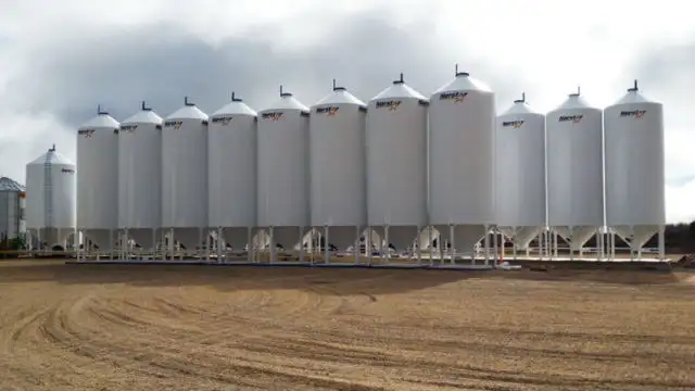 animal feed bulk/bags