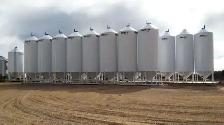 animal feed bulk/bags