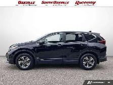 2022 Honda CR-V LX | AWD | HEATED SEATS | LANE ASSIST | CARPLAY - Photo 3